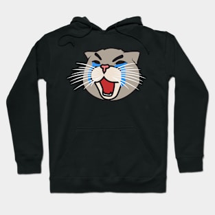 Funny Cat Crying Hoodie